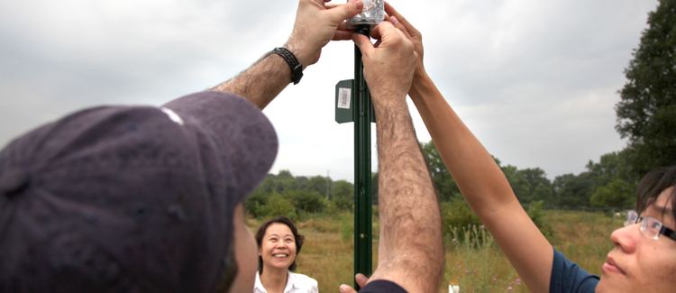 A group of people measuring soil moisture